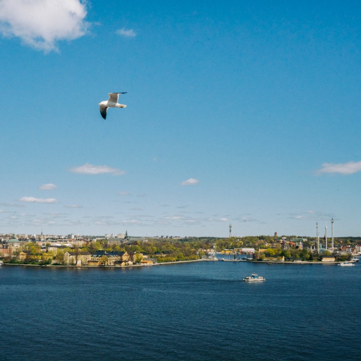 Utsikt från Gondolen